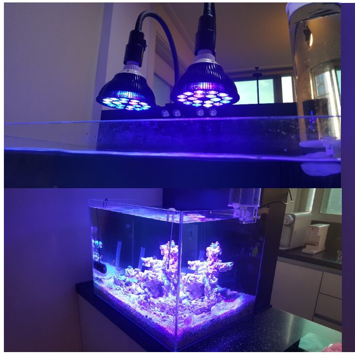 Free customize LED Aquarium li - Planted Aquarium Algae recensie en prijs
