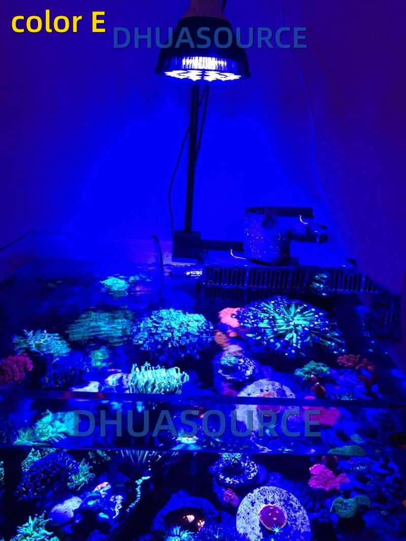 Free customize LED Aquarium li - Planted Aquarium Algae recensie en prijs