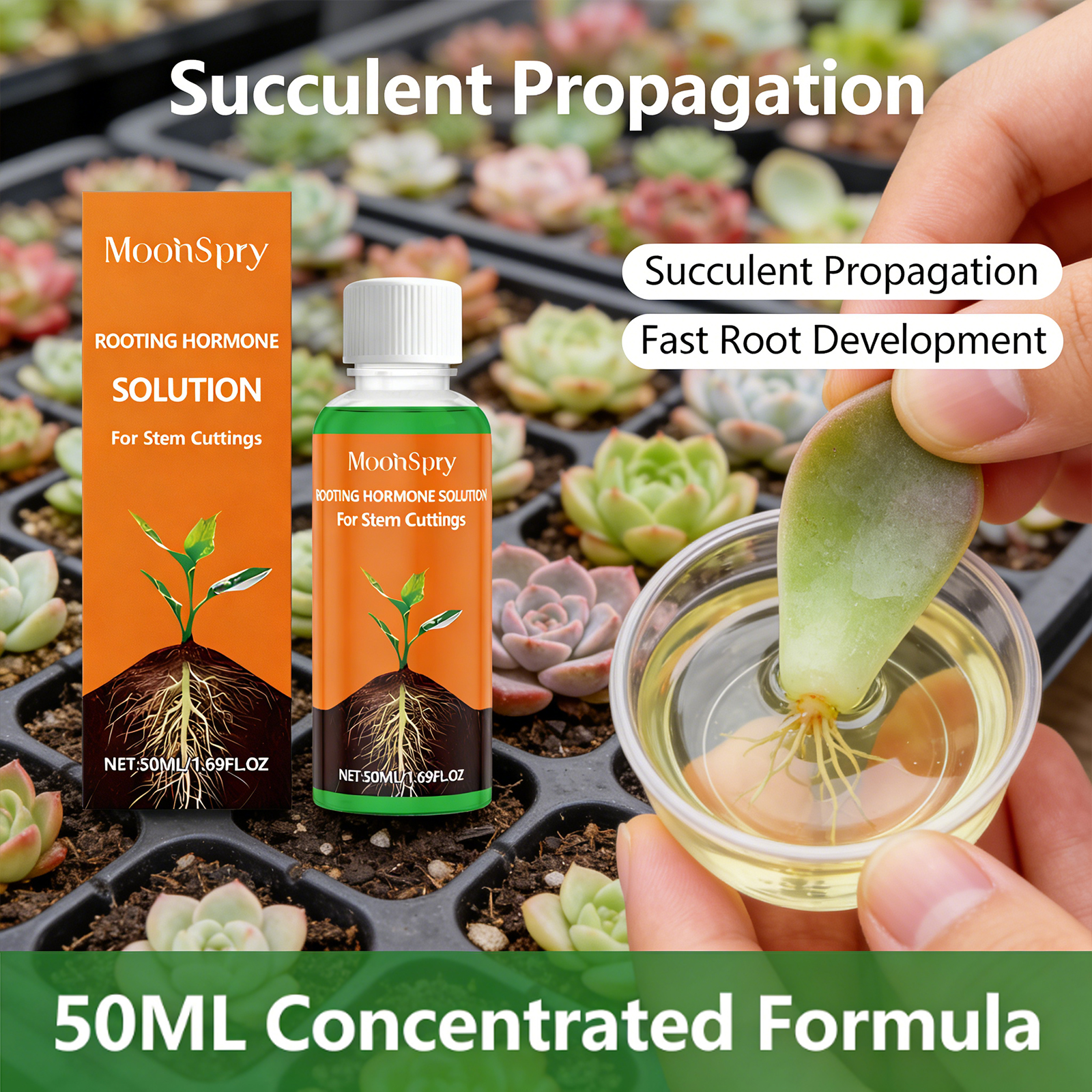 Plant Rooting Agent Effectivel - Tissue Culture Plant recensie en prijs