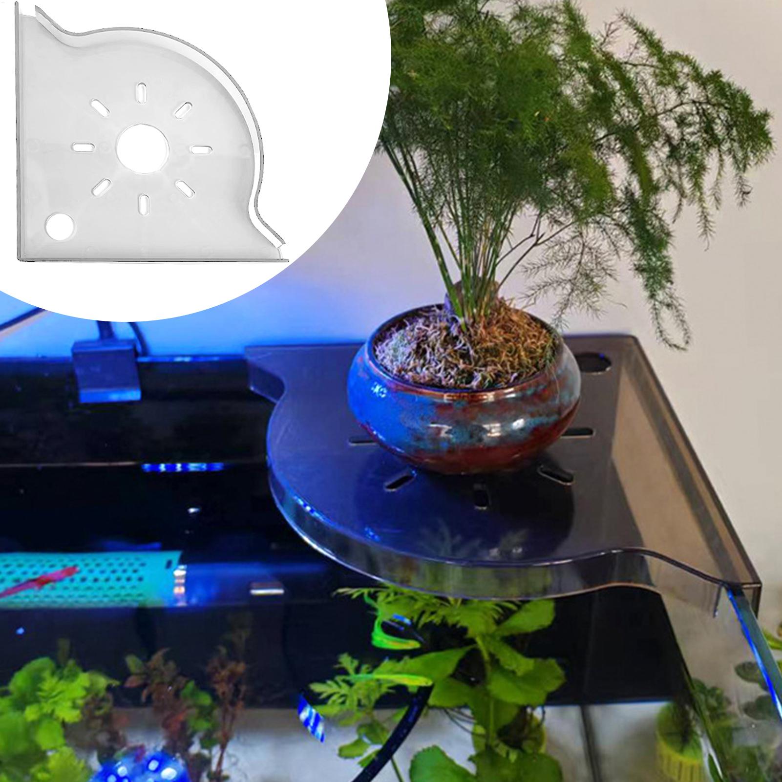 Fish Tank Plant Holder Triangl - Aquarium Plant Utensils recensie en prijs