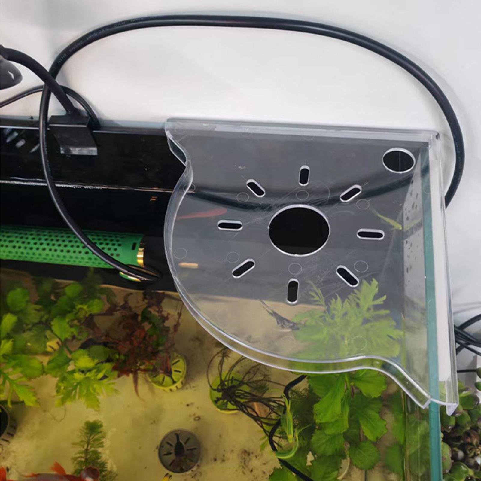 Fish Tank Plant Holder Triangl - Aquarium Plant Utensils recensie en prijs