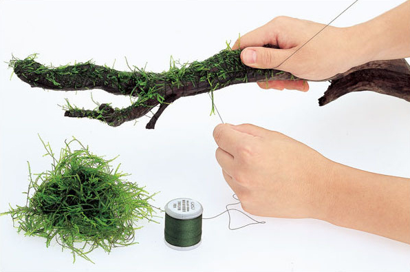 Degradable Aquarium Driftwood  - Aquarium Plant Echinodorus recensie en prijs