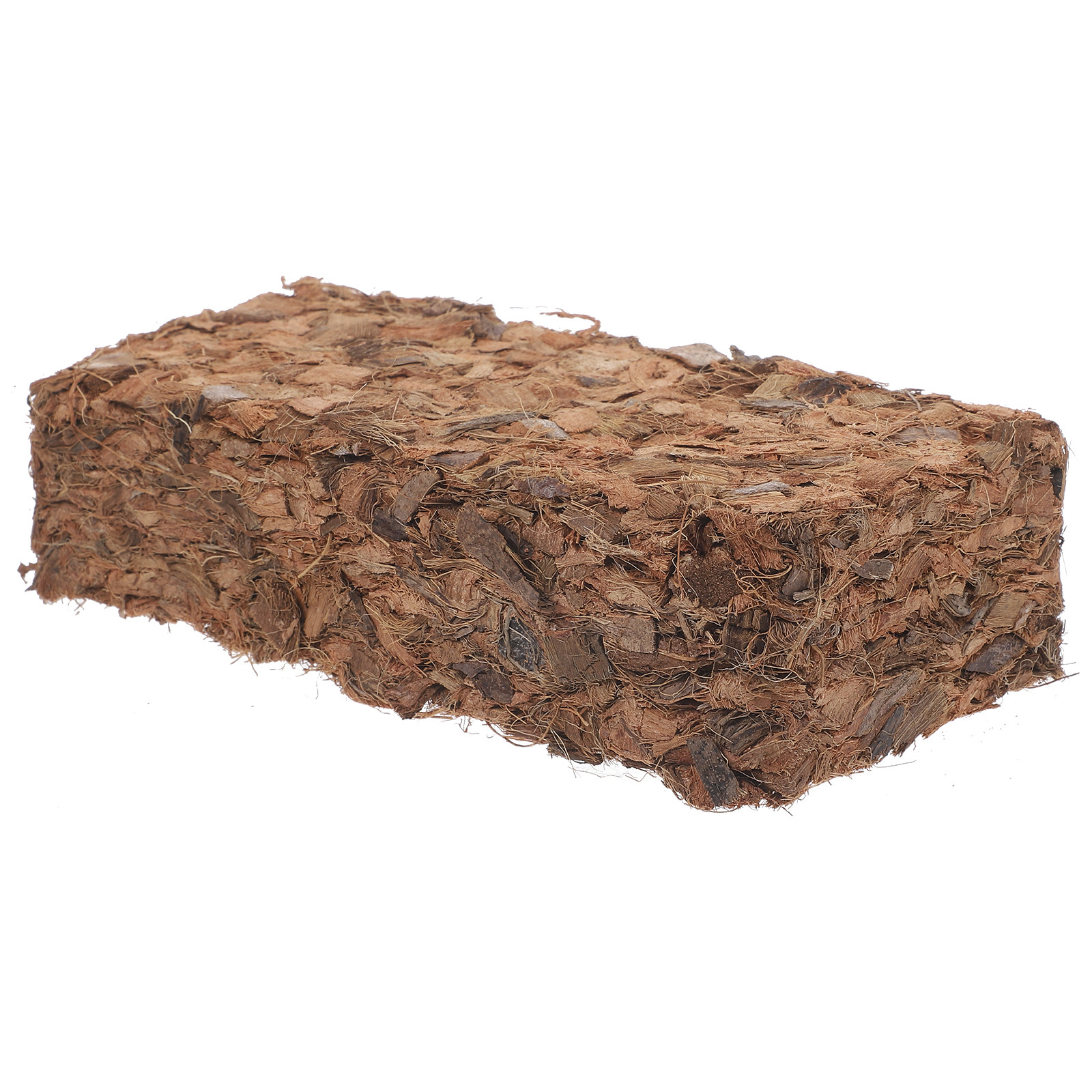 Plant Nursery Block Coconut Co - Tissue Culture Plant recensie en prijs