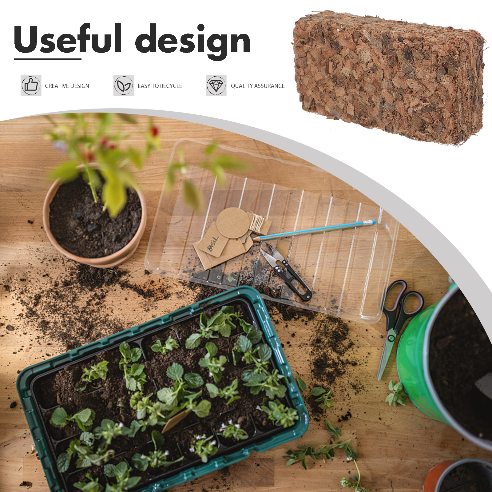 Plant Nursery Block Coconut Co - Tissue Culture Plant recensie en prijs