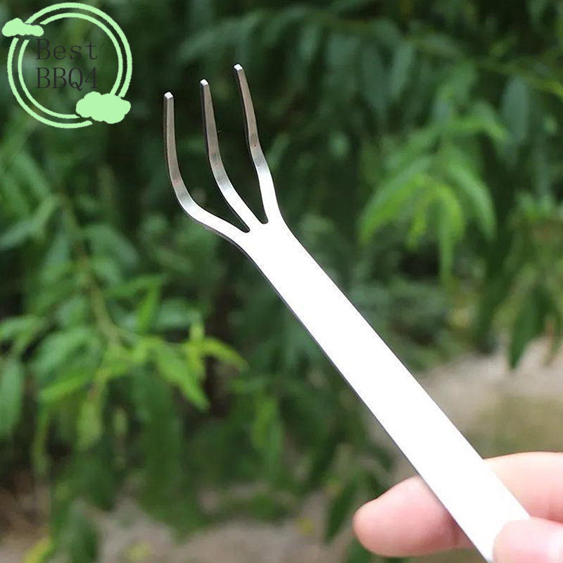 (BBQ4) 1Pc Stainless Steel Roo - Tissue Culture Plant recensie en prijs