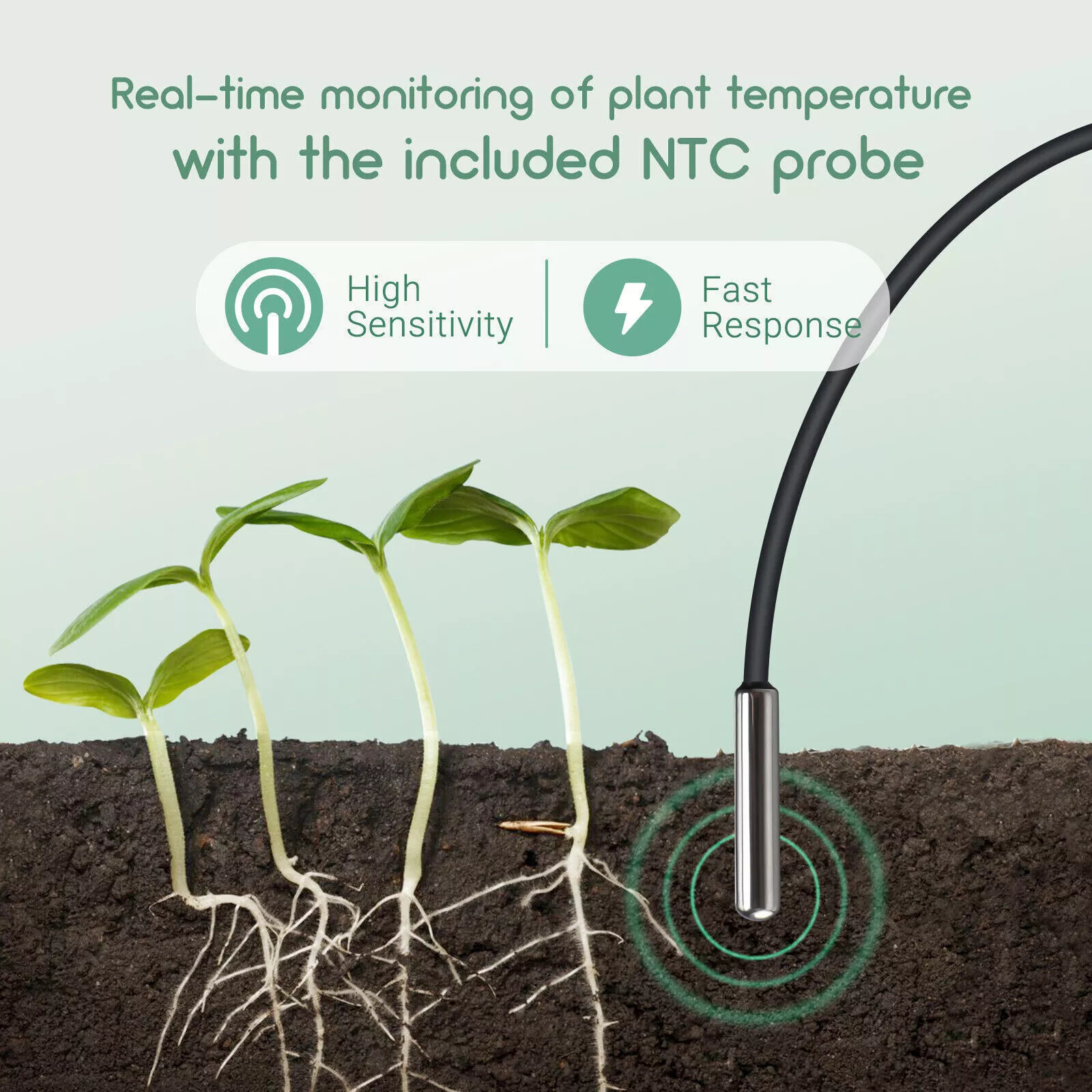 Lerway Plant Growth Heating Ma - Planted Aquarium Heater recensie en prijs