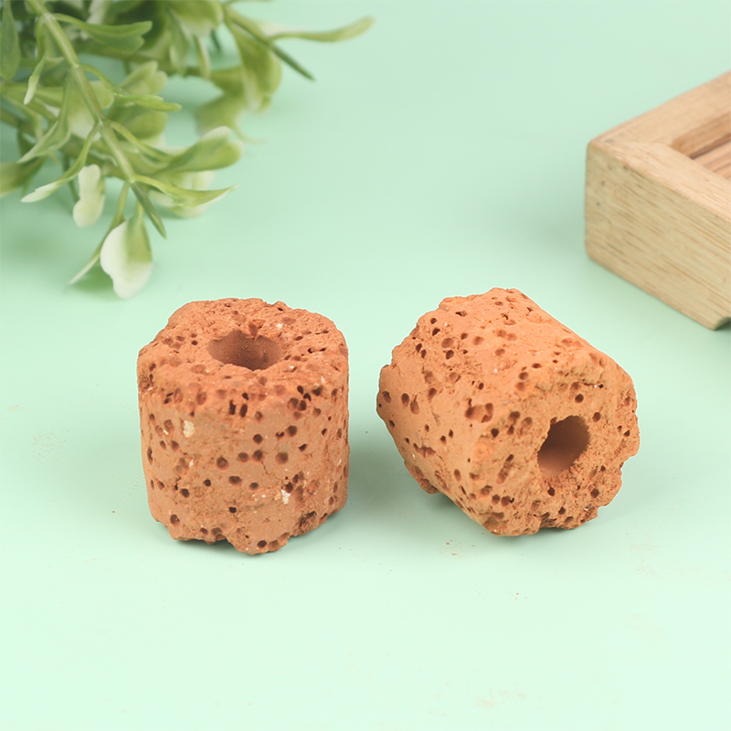 10Pcs Mini Aquatic Plant Ring  - Aquarium Planted Tank Setup recensie en prijs