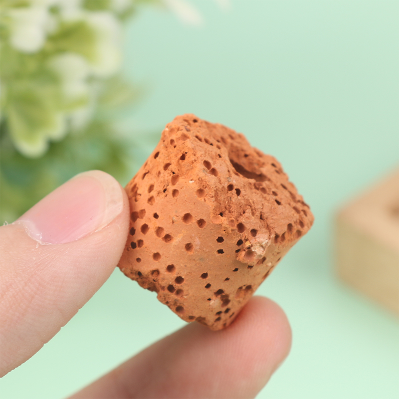 10Pcs Mini Aquatic Plant Ring  - Aquarium Planted Tank Setup recensie en prijs