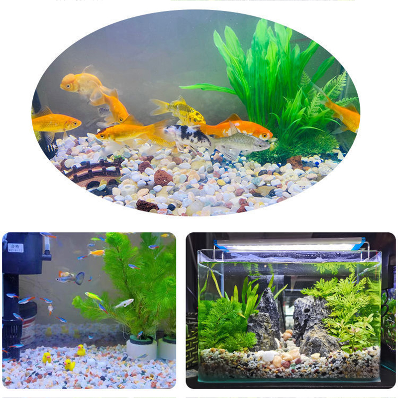 500/1000g Aquarium Scenery Sto - Planted Aquarium Air Stone recensie en prijs