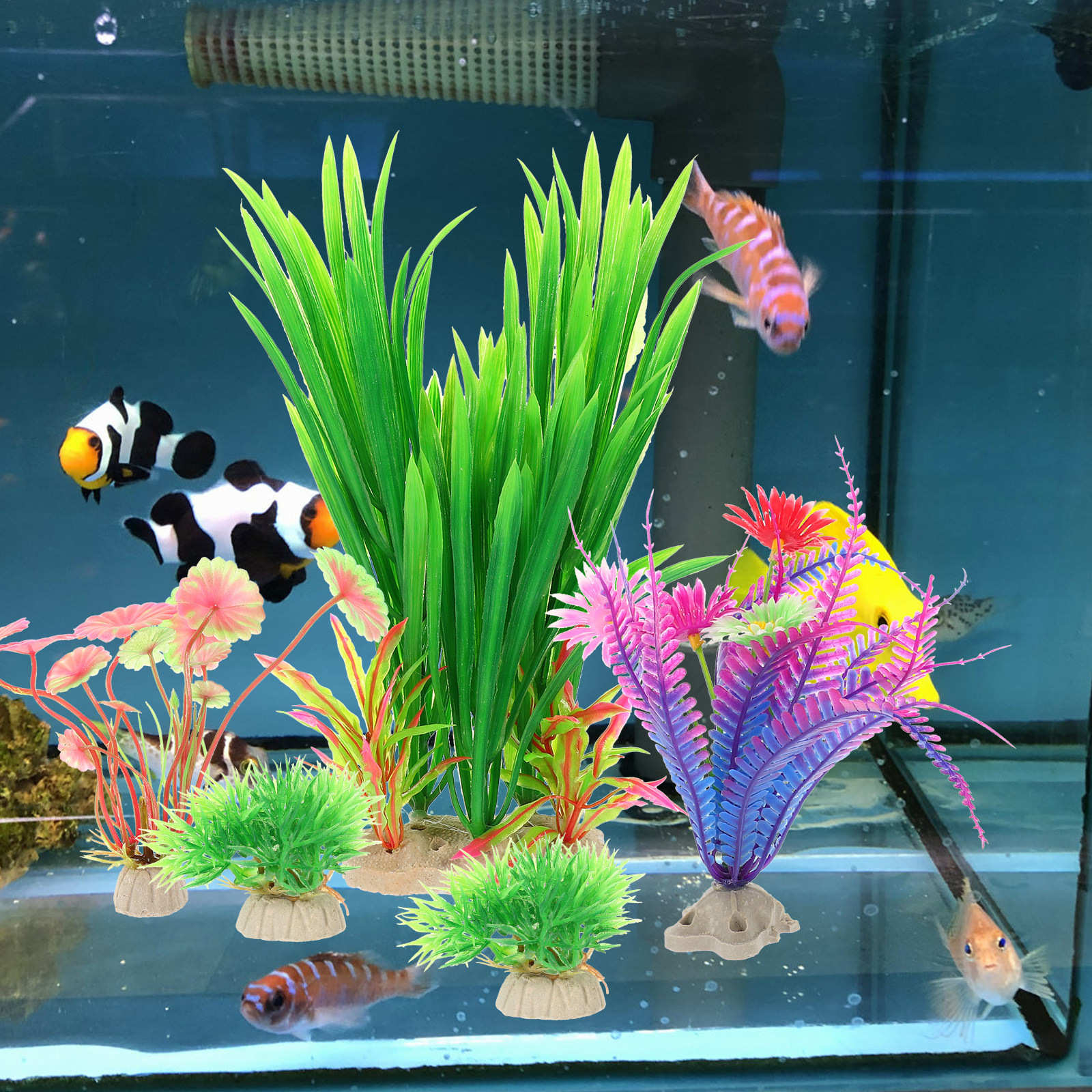 8Pcs Lifelike Plastic Aquatic  - Aquarium Planted Tank Setup recensie en prijs
