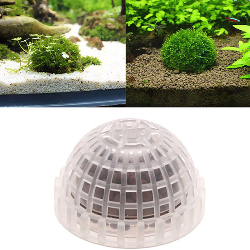 .1Pc Aquatic Pet Supplies Deco - Aquarium Plant Echinodorus recensie en prijs