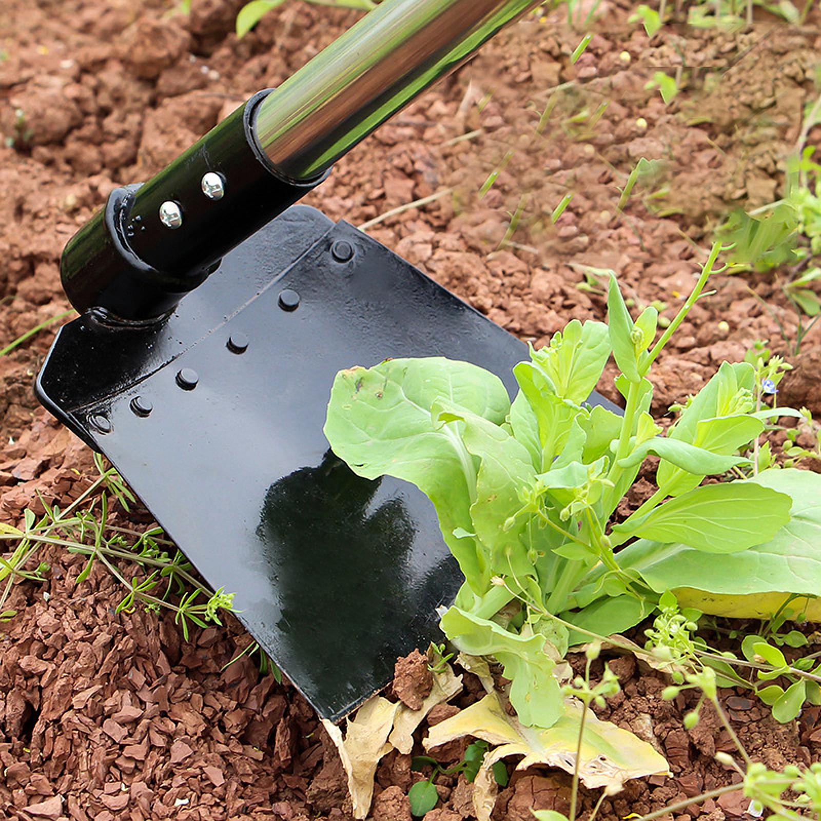 Weeding Sickle Hoe Adjustable  - Tissue Culture Plant recensie en prijs