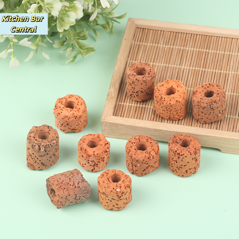 【10Pcs Plant Ring Aquarium Fix - Aquarium Plant Utensils recensie en prijs