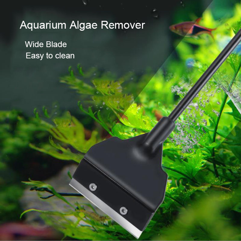 Wide Blade 6cm Light Weight Aq - Planted Aquarium Algae recensie en prijs