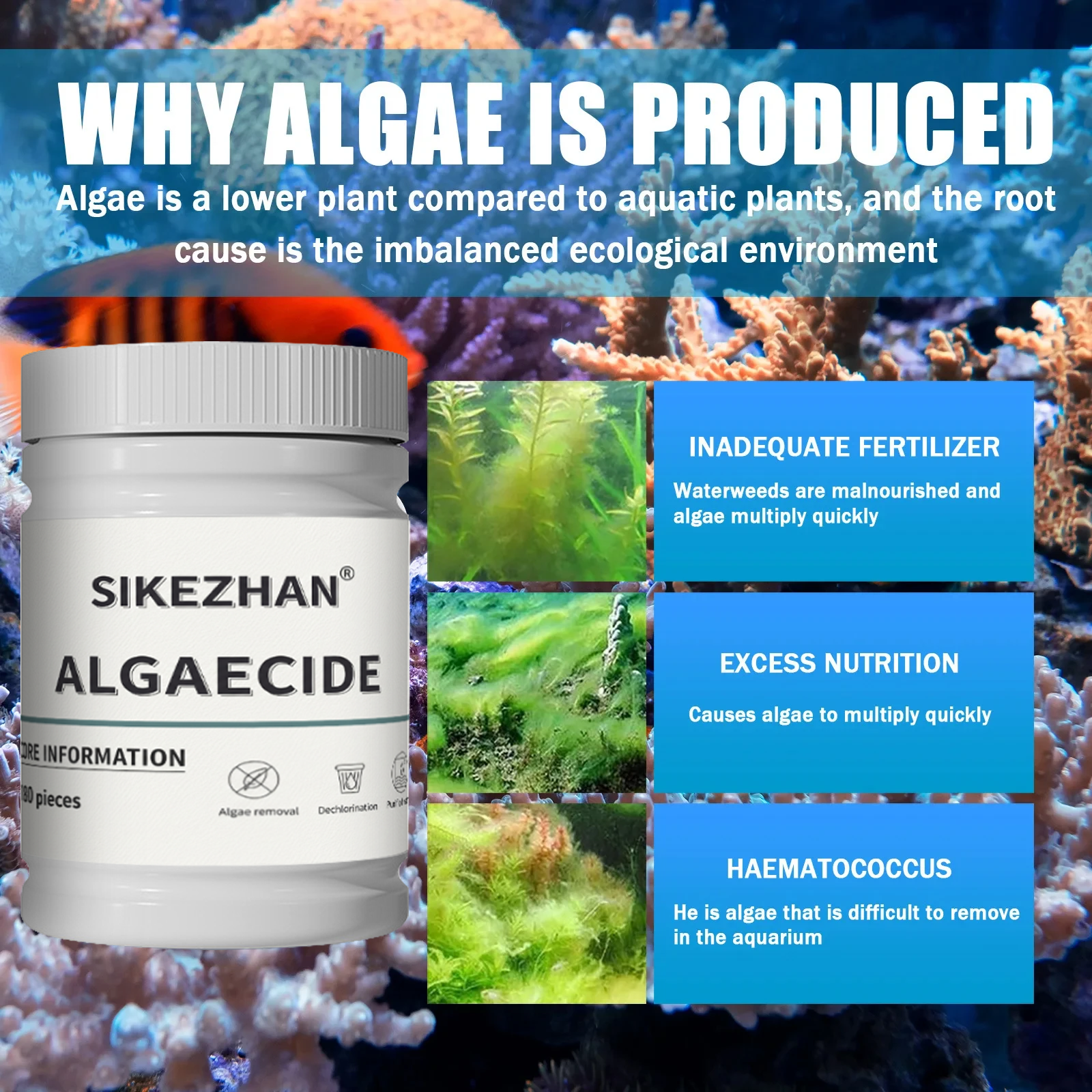 Fish Tank Algaecide Tablets，Cl - Planted Aquarium Algae Control recensie en prijs