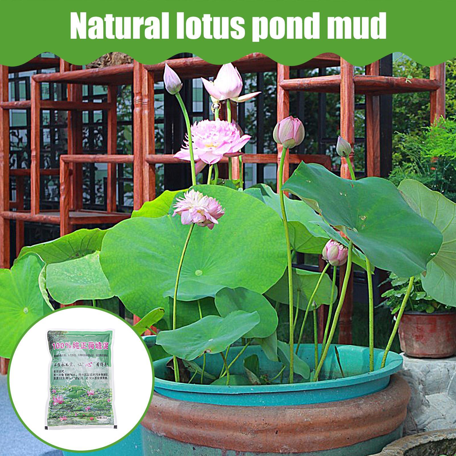 200g/bag Aquarium Soil Natural - Aquarium Plant Nutrients recensie en prijs