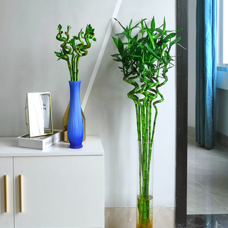 110cm 2PC Artificial Lucky Bam - Aquarium Plant Echinodorus recensie en prijs