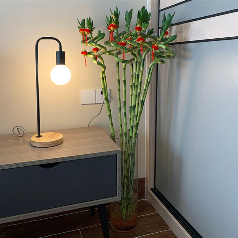 110cm 2PC Artificial Lucky Bam - Aquarium Plant Echinodorus recensie en prijs