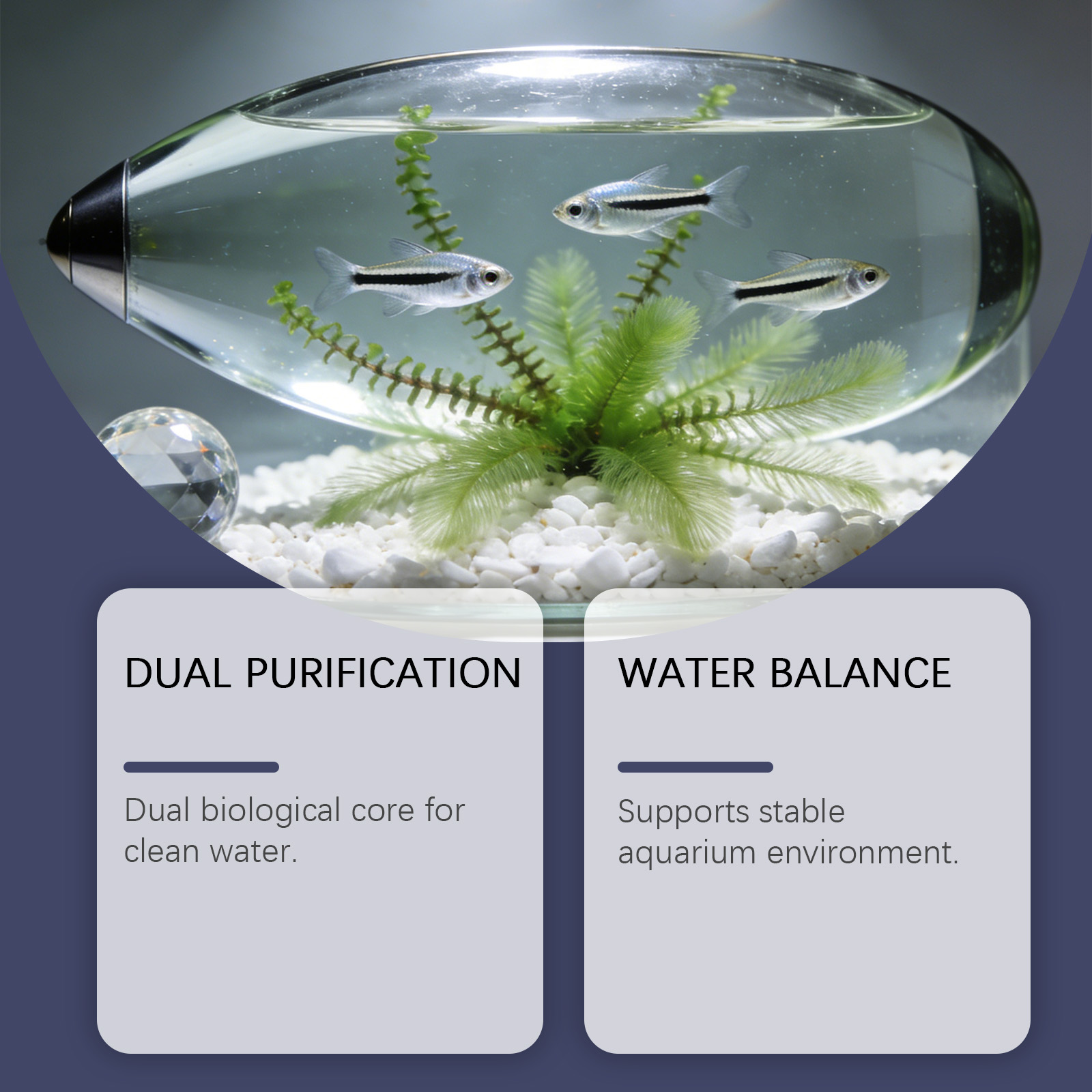 Algae Remover Tablets for Aqua - Planted Aquarium Algae Control recensie en prijs