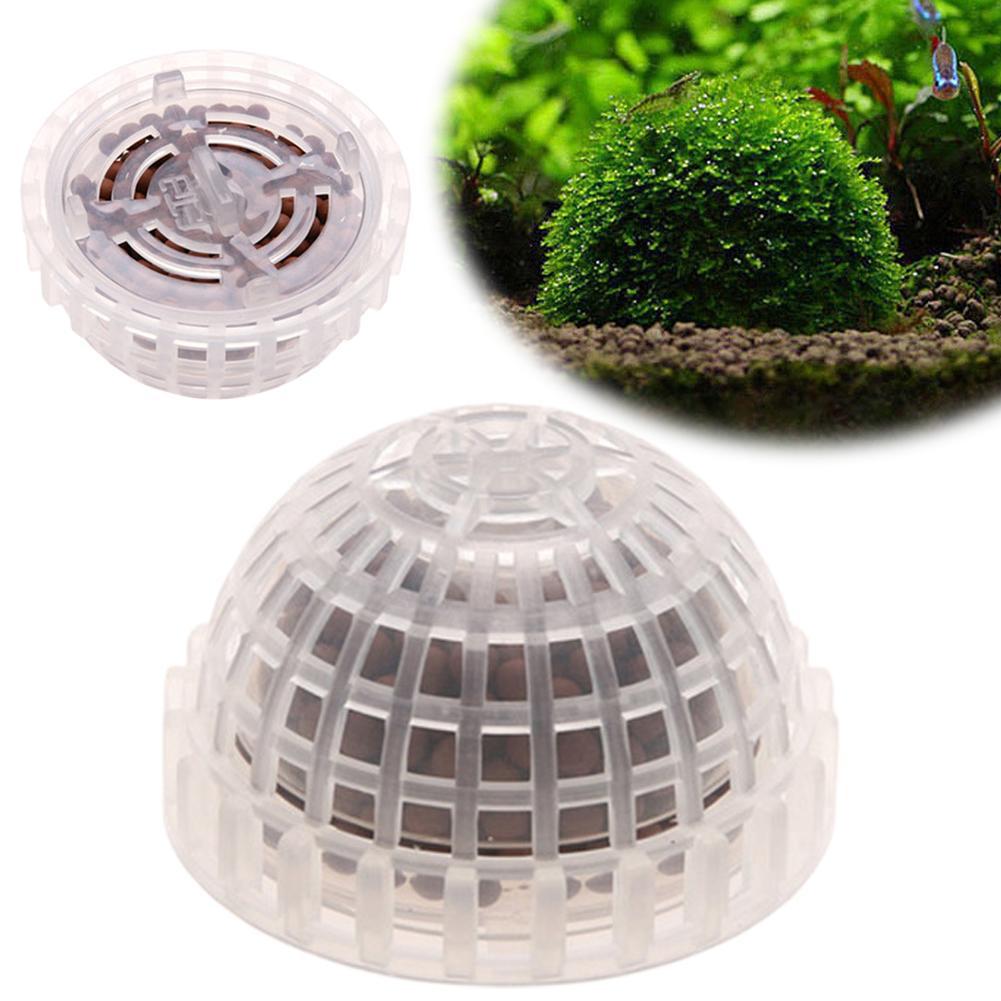 1pc Aquatic Pet Supplies Decor - Aquarium Plant Echinodorus recensie en prijs