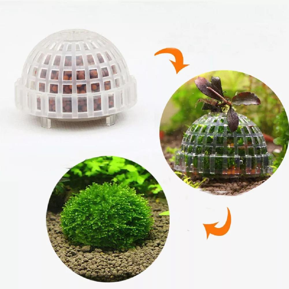 1pc Aquatic Pet Supplies Decor - Aquarium Plant Echinodorus recensie en prijs