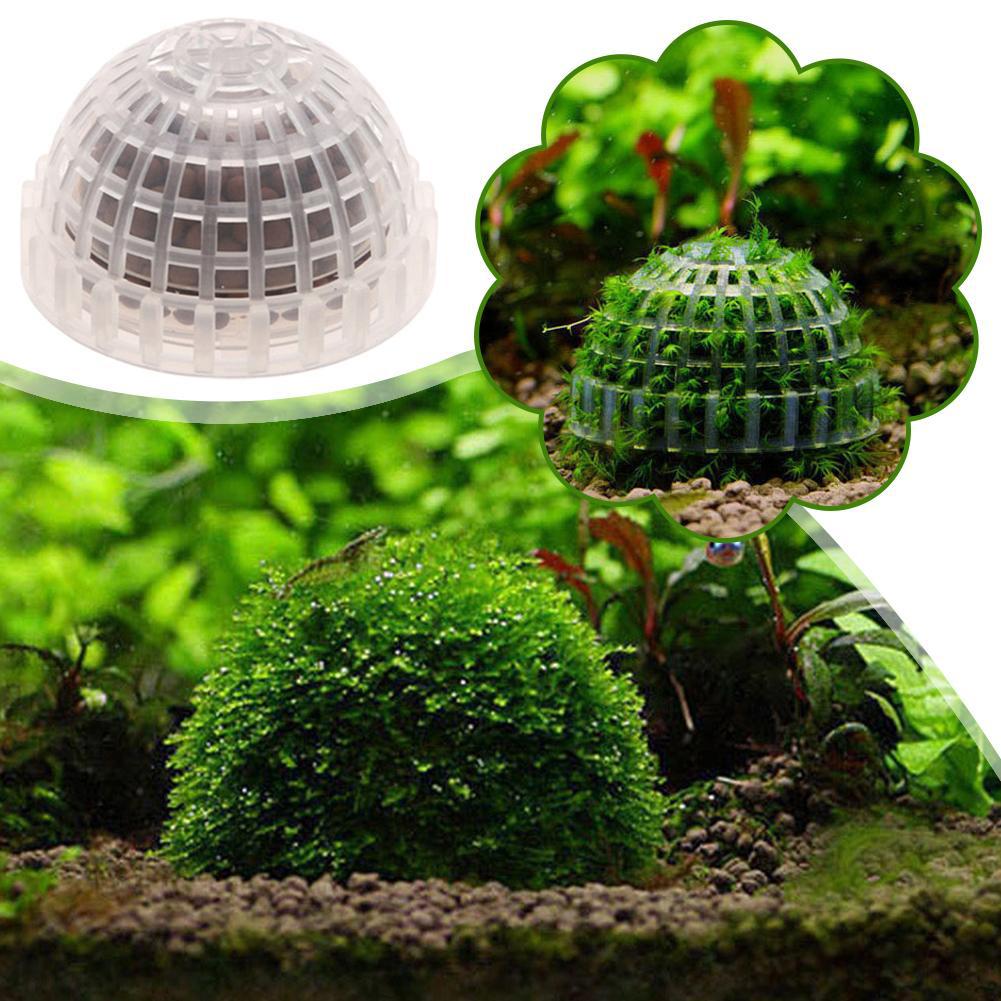 1pc Aquatic Pet Supplies Decor - Aquarium Plant Echinodorus recensie en prijs