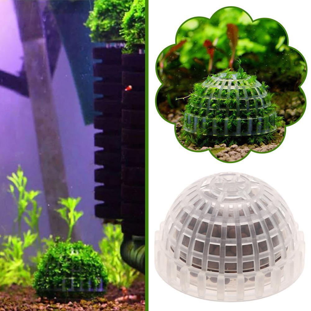 1pc Aquatic Pet Supplies Decor - Aquarium Plant Echinodorus recensie en prijs