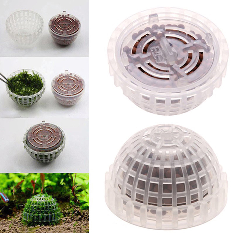 Aquatic Pet Supplies Decoratio - Aquarium Plant Echinodorus recensie en prijs