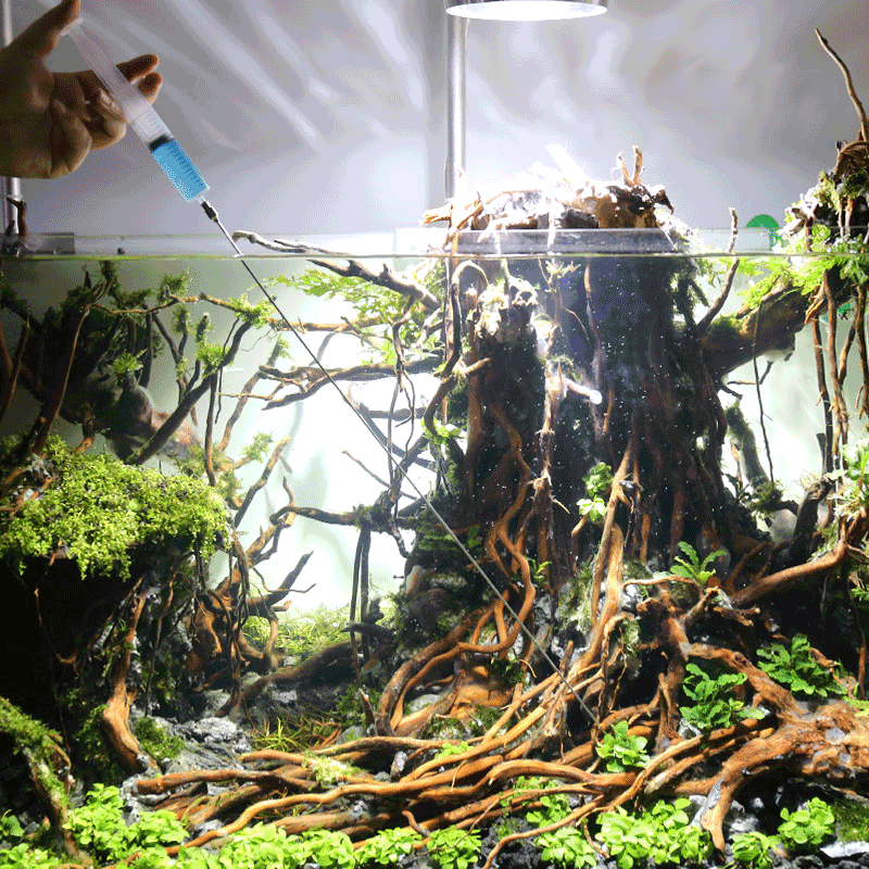 Aquarium Plants Growth Heathy  - Aquarium Plant Fertilizer recensie en prijs