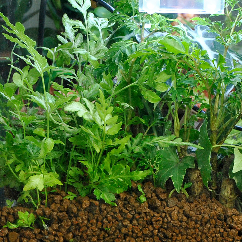 WAJABABY Akadama Soil - Natura - Aquarium Plant Nutrients recensie en prijs