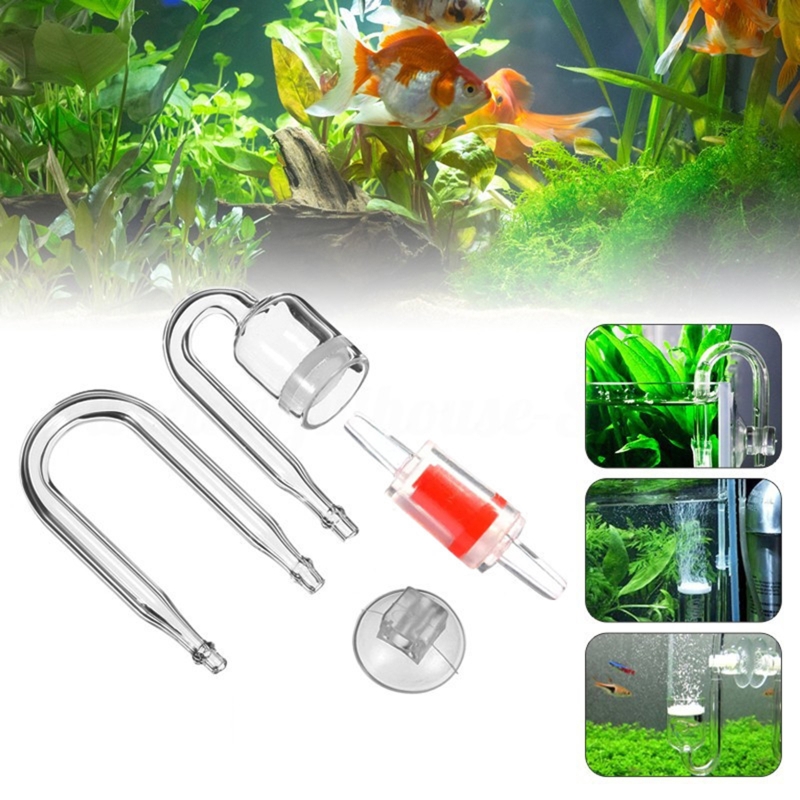 4pcs Set DIY CO2 Diffuser For  - Aquarium Plant Echinodorus recensie en prijs