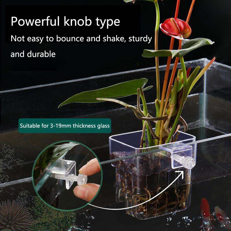 Aquarium Hydroponic Planting C - Aquarium Planted Tank Setup recensie en prijs