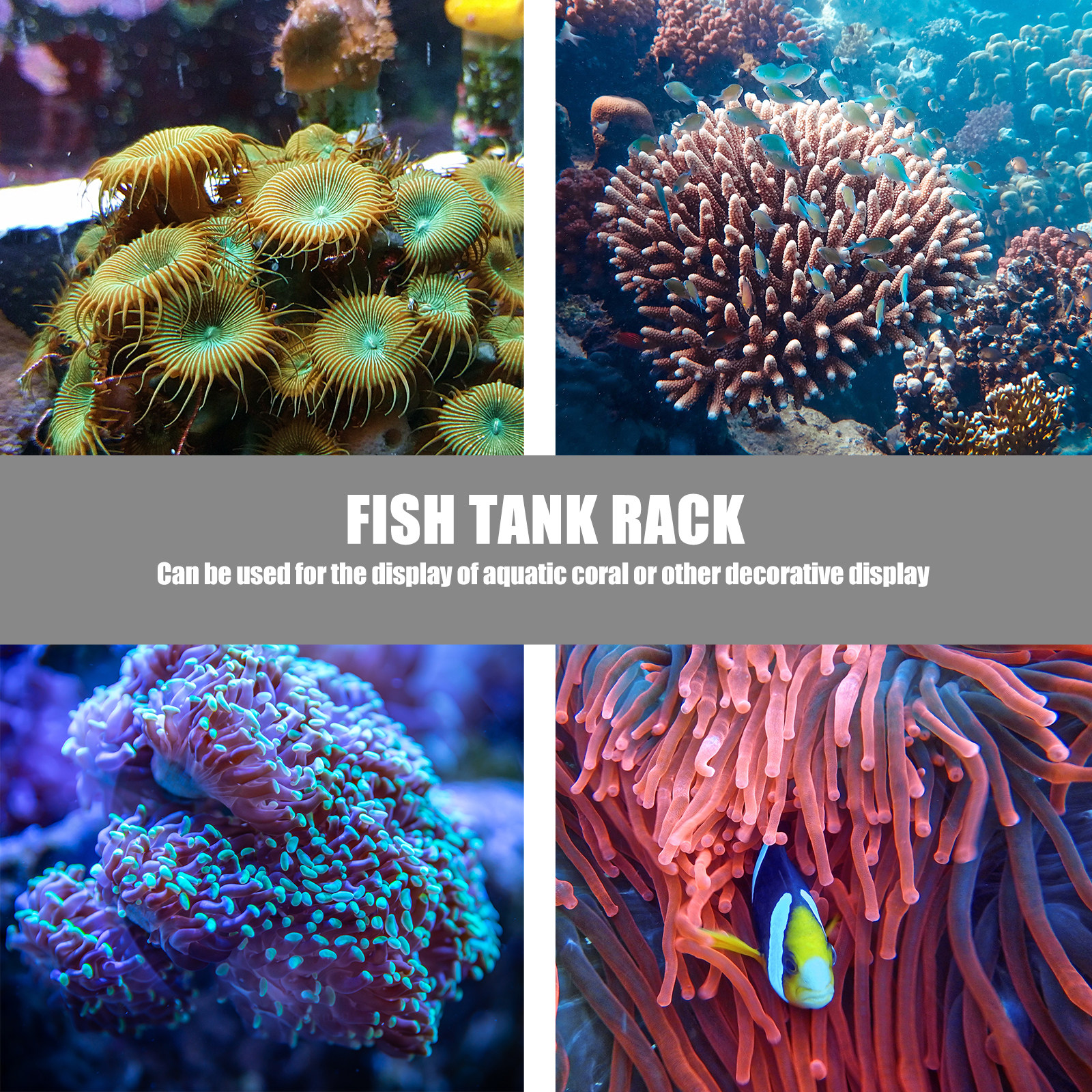 1Pcs Coral Base Stylish Strong - Aquarium Planted Tank Setup recensie en prijs