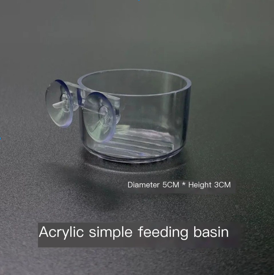 Aquarium Plant Pot Glass Cylin - Aquarium Plant Nutrients recensie en prijs