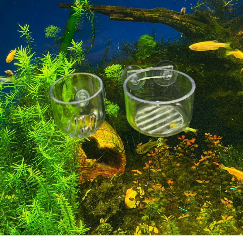 Aquarium Plant Pot Glass Cylin - Aquarium Plant Nutrients recensie en prijs
