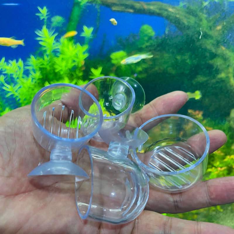 Aquarium Plant Pot Glass Cylin - Aquarium Plant Nutrients recensie en prijs
